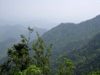 天目山华锦山庄-临安西天目山农家乐