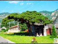 凤凰岭松府好农家院-北京海淀凤凰岭农家乐