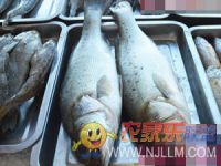 绥中二河口明洋宾馆