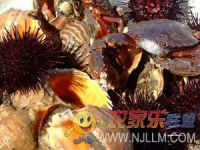绥中二河口明洋宾馆