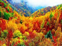 雾灵山老兵之家度假村