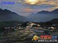 云和梯田闲梅野竹民宿