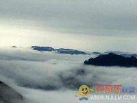 云和梯田闲梅野竹民宿