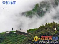 云和梯田闲梅野竹民宿