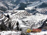 云和梯田闲梅野竹民宿