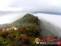 云和梯田闲梅野竹民宿