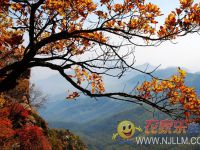 喇叭沟门卢玉红农家院