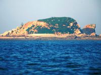 海王九岛南海度假庭院