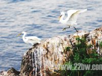 海王九岛南海度假庭院