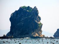 海王九岛南海度假庭院