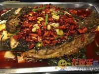 东戴河桂明农家院