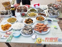 东戴河盛夏海景农家院
