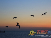 东戴河盛夏海景农家院