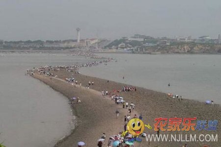 兴城海滨靓典农家院