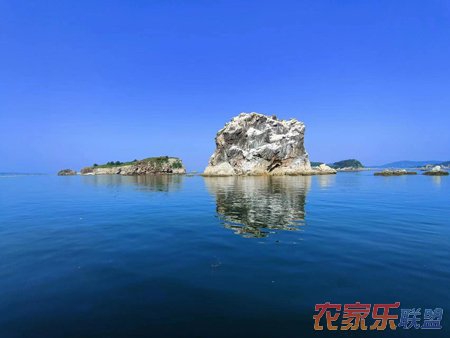 海王九岛林海休闲度假山庄