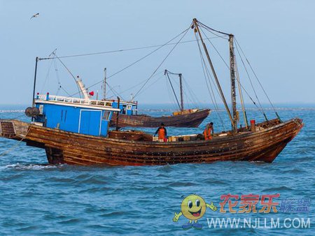 兴城海滨靓典农家院