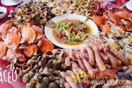 兴城海滨靓典农家院