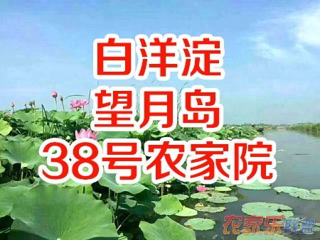 白洋淀望月岛38号农家院