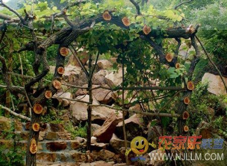 蓟县石龙峡春华农家院
