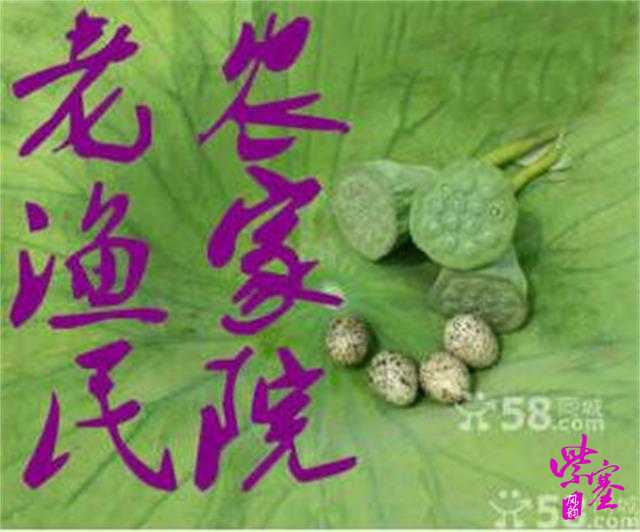 蓟县于桥水库老渔民农家院