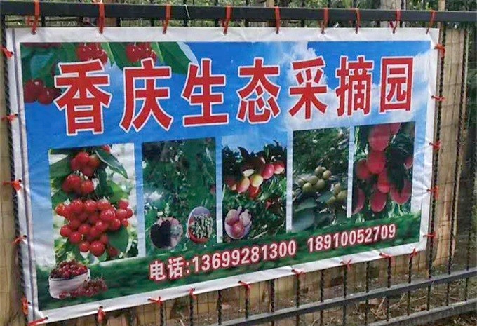 海淀香庆生态采摘园-