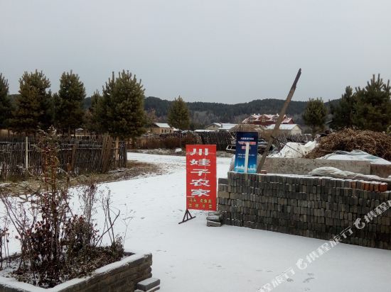 漠河北极村川娃子农家院-