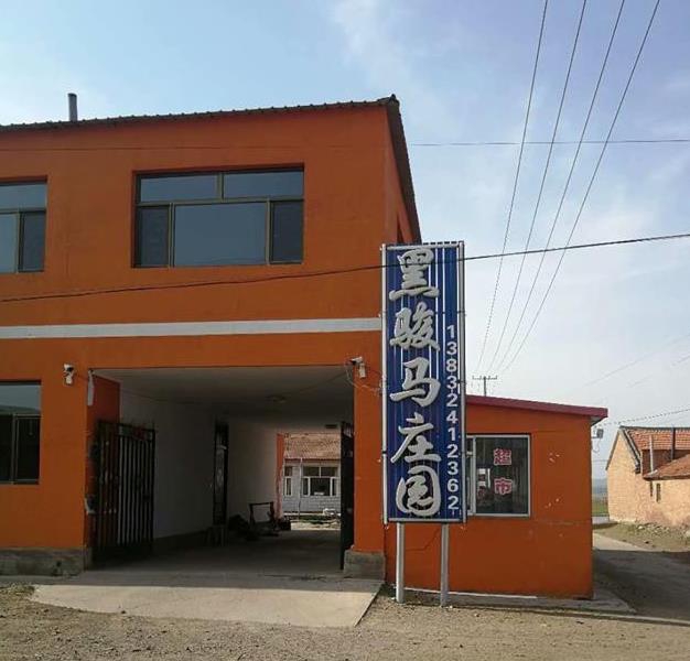 丰宁坝上草原黑骏马庄园-