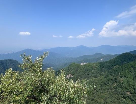 祥峪沟花蕊香农家乐()