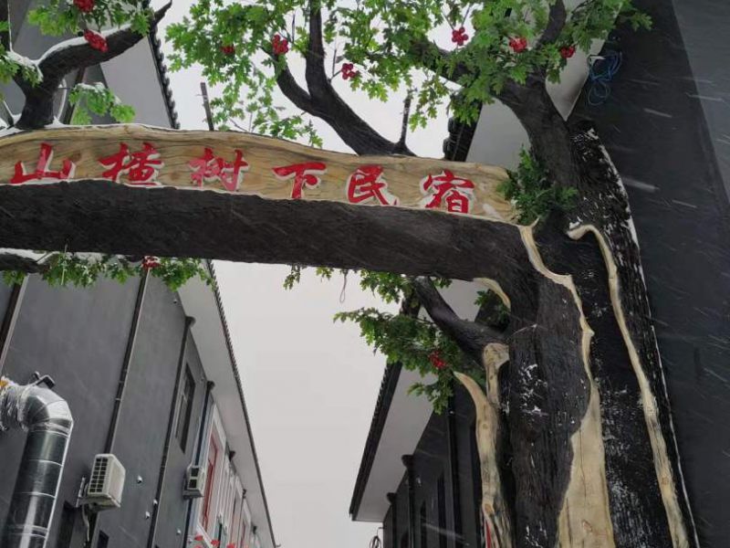 蓟县黄崖关山楂树下民宿