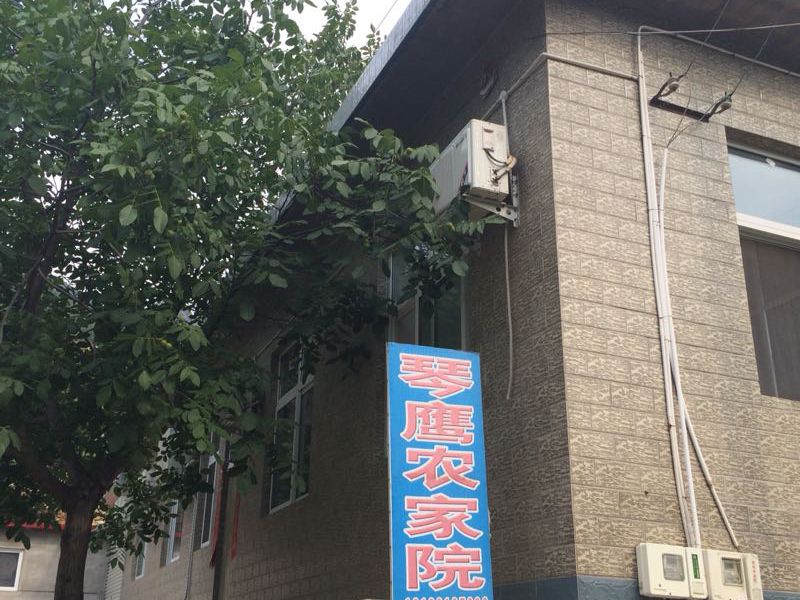 蓟县黄崖关琴鹰农家院-