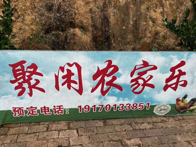 梅岭聚闲农家乐()