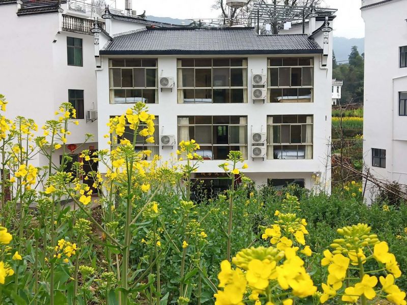 婺源江岭馨悦客栈-